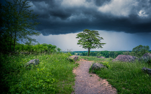 Solitude and Serenity: A Hike through Little Round Tops Enchanted Trail under the Brooding Storm