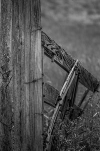 Weathered Gate