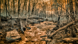 Ghostly Flow: Exploring Gettysburgs Bloody Run in Infrared by Dream World Images