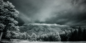 Muellers Mystique by Dream World Images