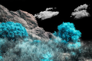 Majestic Rock Wall: Exploring Garden of the Gods Blue Mountain Trees by Dream World Images