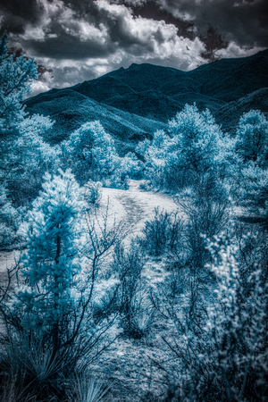 A Majestic Blue Mountain Journey in Colorado Springs by Dream World Images