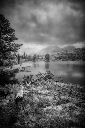 Fallen Sentinels: Rocky Mountain National Park by Dream World Images