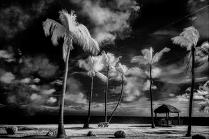 Tiki Picnic by Dream World Images