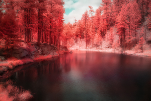 Radiant Tranquility: A Stroll Along Grace Coolidge Lakes Infrared Wonderland in South Dakota by Dream World Images