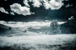 Dreamlike Horizon: Marysville Montana