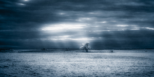 Majestic Isolation: Shamrock Texas