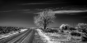 Ethereal Encounters: A Monochrome Journey Through Dawson New Mexico