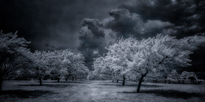 Illumination in Turmoil