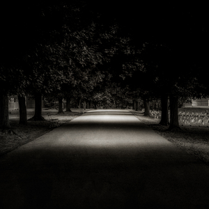 Shadows of Remembrance: Gettysburg National Cemetery 