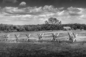Solitude Unveiled: Whispers of the Countryside by Dream World Images