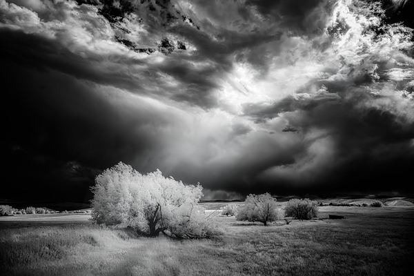 Divine Light   Wyoming Storm Theater Print
