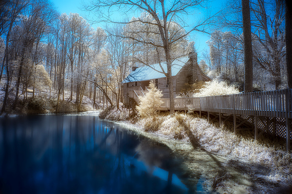 Lakeside Reverie Print