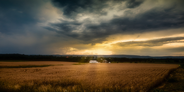 Farmland Sunset Print