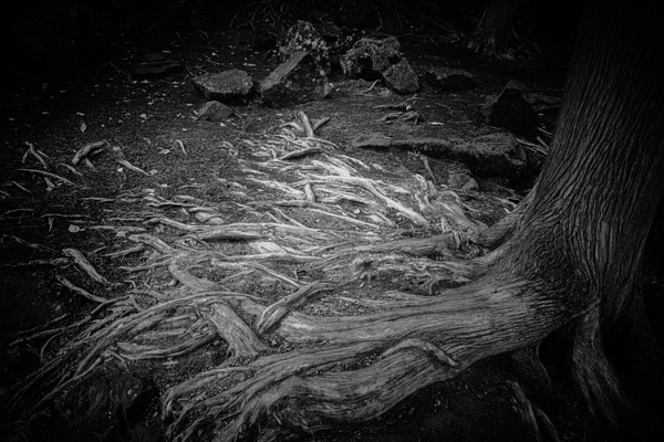 Sculptures of Time and Tide Print