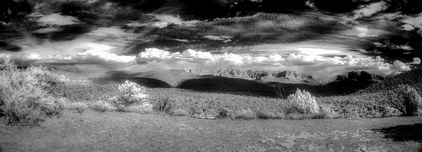 Shadows and Light on a Barren Canvas Print