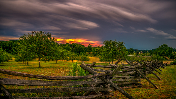 Peach Orchard Storm Print