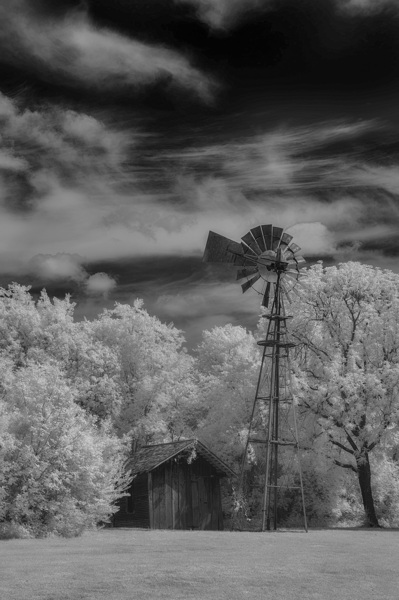 Solitude in Timber and Whee Print