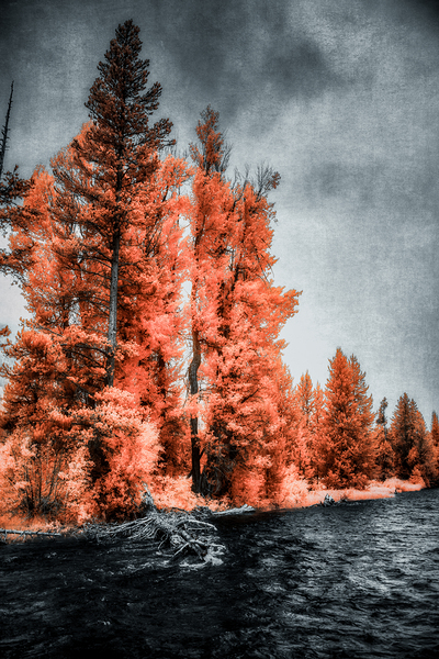 Lakeside Autumn Blaze   Infrared Fire Print