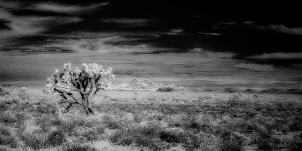 Textured Realms of Silence and Cloud Print