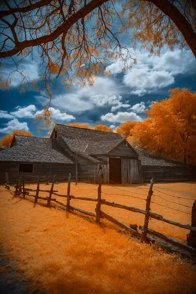Barn of Timeless Dreams Print