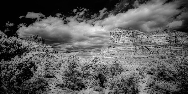 Desert Majesties in Monochrome Print