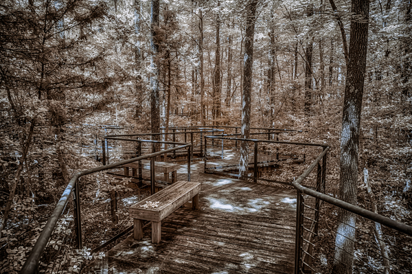 Angled Walkway Print