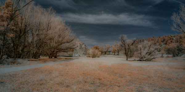 Red Rock Canyon -1 Print