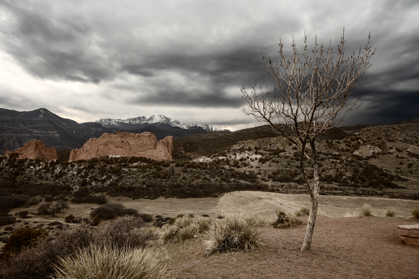 Lonely Mountain Tree Print