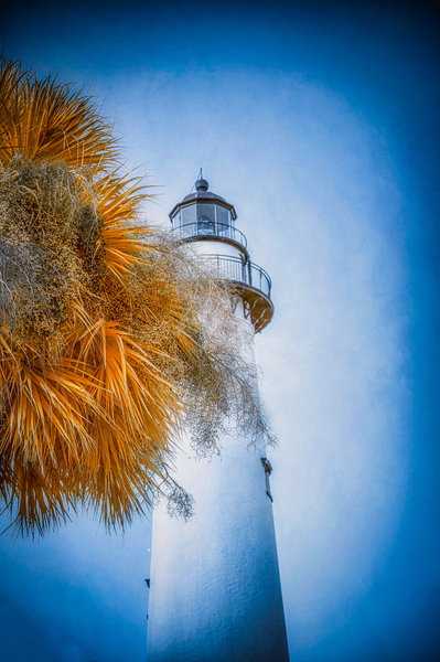 Whispers of Light: Hidden Light Print