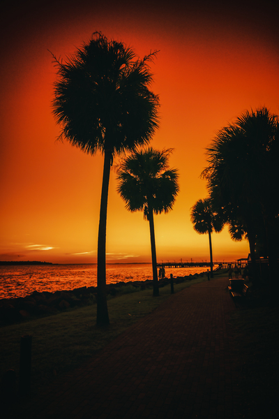 Sunset Stroll on Saint Simons Island Print