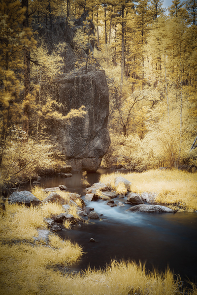 Serenity Unveiled: A Journey Up Grace Coolidge Creek Print