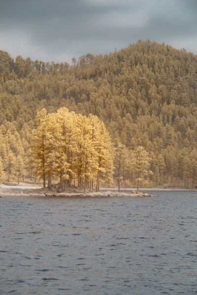 Stockade Lake Tree Island Print