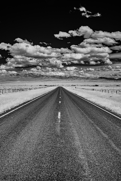 Horizons Embrace Print