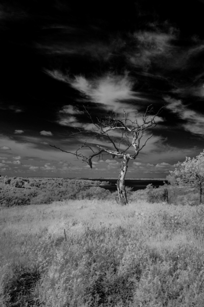 Symphony of Light and Shadow Print