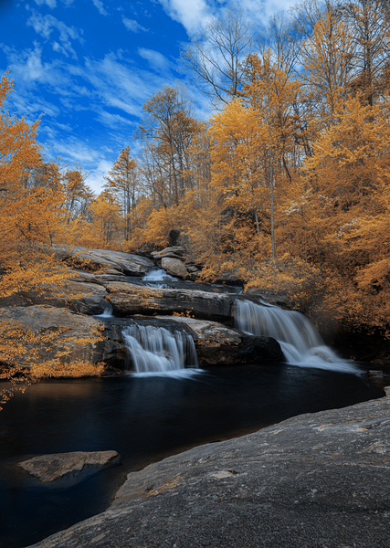 Majestic Fall - Chau Ram Print