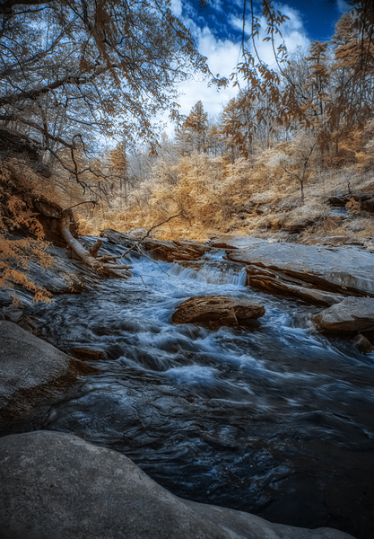 Riverside Whispers Print