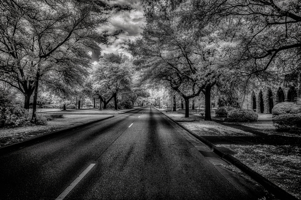 Eufaula Elegance: A Monochromatic Journey Through Time Print