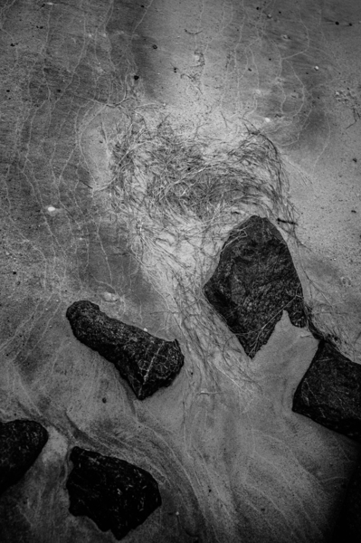 Shoreline Sonata Print