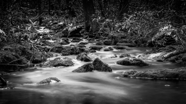 Mountain Streams Symphony Print