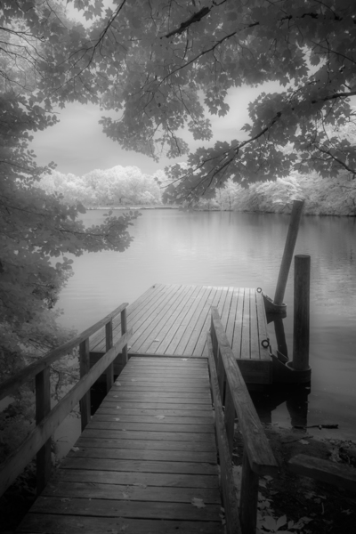 Stillness Captured: Abbotts Pond Print