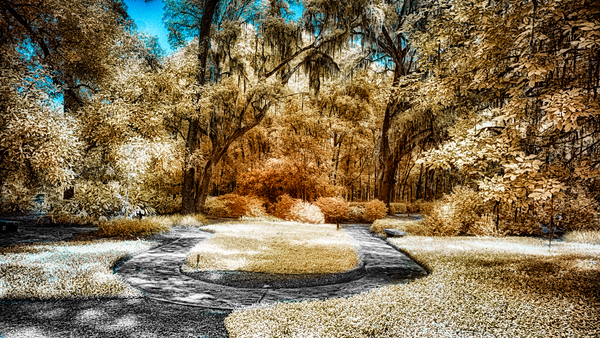 Golden Labyrinth  Print