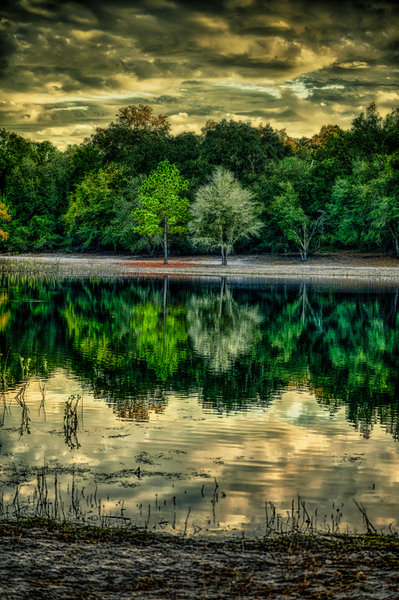 Florida Dreamscapes: Indian Lake State Forest Print