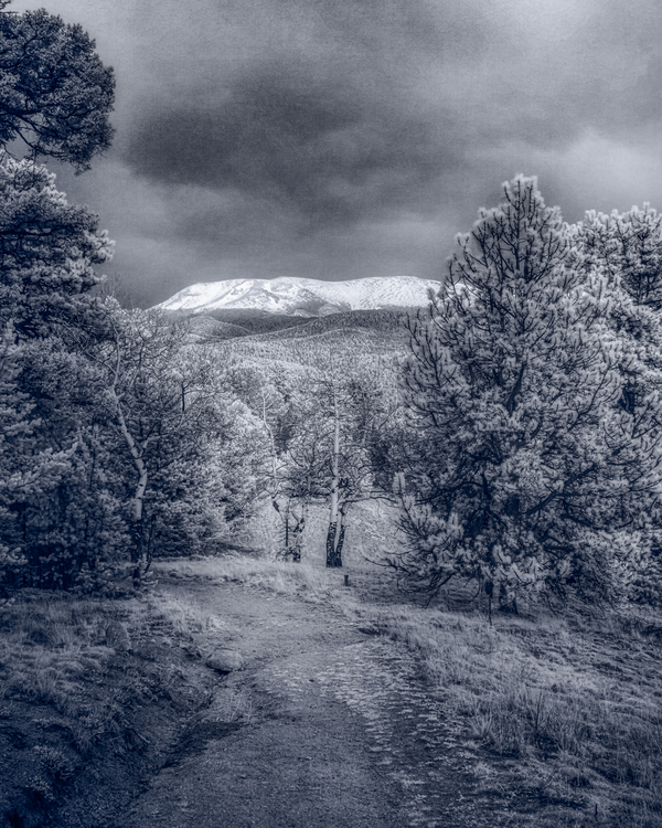 Mueller Aspen Series: Mountain Trail Tranquility Print