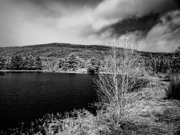 Majestic Tranquility: Sprague Lake Serenity Print
