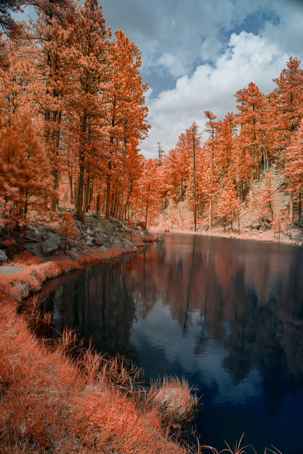 Pumpkin Skies at Coolidge Print