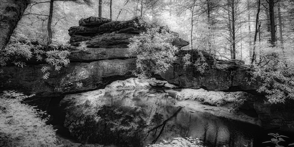 Rocky Tranquility: Natural Bridge Kentucky Print
