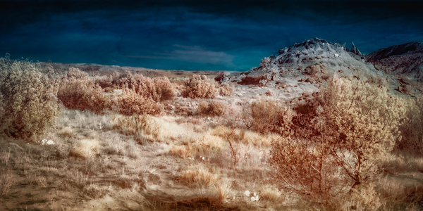 Palo Duro Dreamworld: Unveiling the Mysteries of Texas Hidden Gem Print