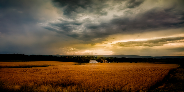 Farmland Sunset Print