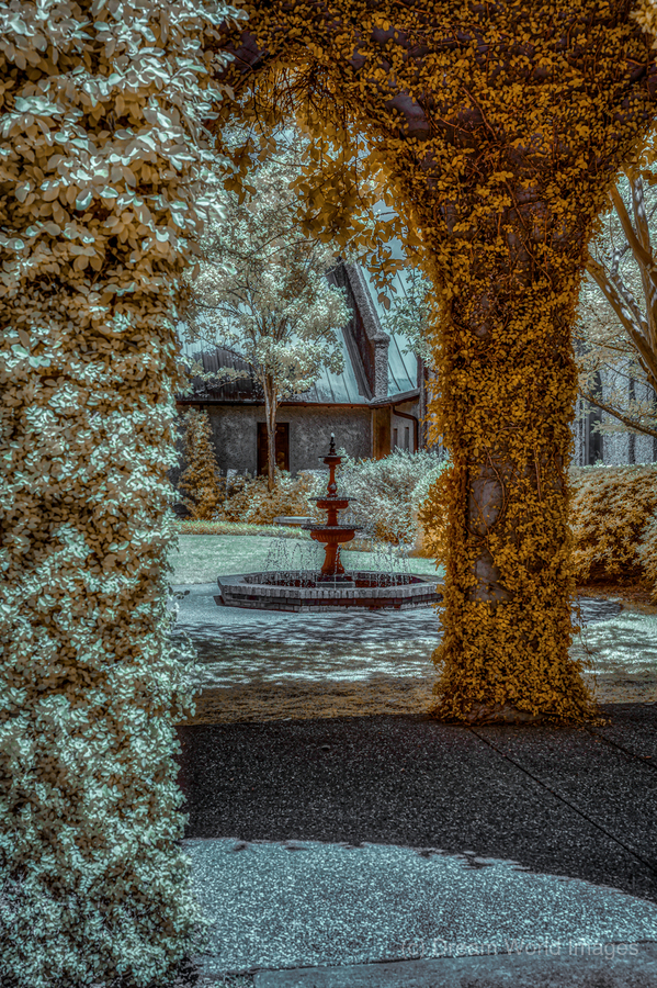 Golden Courtyard  Print